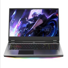 Intel i5-9400F GTX1050Ti 32G 64G 1TB 17.3inch 게임용 노트북 데스크탑 성능 지원 Intel 6789 세대 프로세서 컴퓨터, 우리를, 인텔 i5-9400F, i5-9400F 16G-512GB