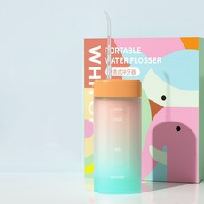 리비엔구강세정기