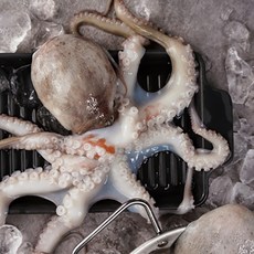 기타 [전라도 청년] 산지직송 자연산 남해 돌문어 1kg (2-4미), 상세페이지참조
