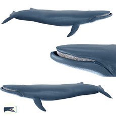 대왕고래장난감