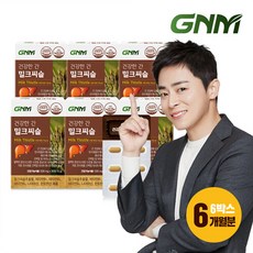 GNM 조정석 건강한 간 밀크씨슬 6박스(총 6개월분) 간건강 실리마린 비타민B 판토텐산, 단일속성, 선택완료