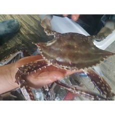 c18ed3d6e332eb6d1262b9a0445a65d8c299bd9c8f04e34a673db06c5c77.jpg