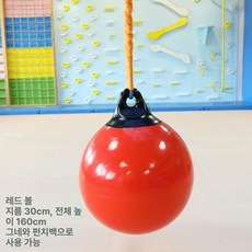 원목정글짐 유아 실내 원목, 1개, 매달린 공 스윙 직경 30 cm