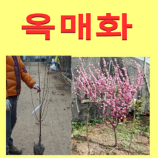 c4593be0358be8c397c7fecdf0c098d609bb23e1c35de318521286bc62fb.png