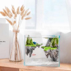 페이토 아쿠아스케이프 레이아웃 어항 M [230x160x200mm/5T]