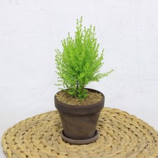 44d83095e4d05276f28a71db3c7deb5efcd3b24f01f71a51ce64782b3b87.JPG