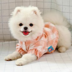 보스턴테리어우비