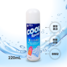 뿌리는 에어컨 쿨스프레이 옷에 뿌리는 쿨링스프레이 야외근무 운동전후, 220ml, 1개