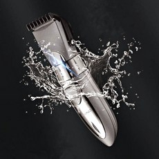 아가드바리깡