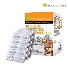 메이플트리보라지유