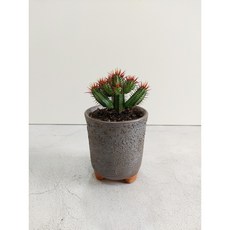 백년옹기