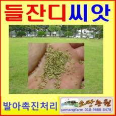 47d2aeb46030d475118ebd6f60d2595ef4acd557d0baaf4367fee7600da1.png