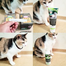 필루 강아지 고양이 진드기약 외부기생충 해충방지 스팟온 목걸이 로션 스프레이 샴푸, 고양이 스팟온 1ml, 1개