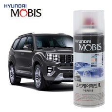 하비에르카예하판화