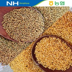 청운농협 국내산 차조 500g 잡곡 자연선생, 1개