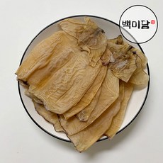몸통오징어 마른오징어 10cm이상 소사이즈, 1세트, 20미