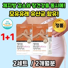 식약처 가르니시아 가르시아 캄보지아 내장 복부 피하 체 지방 감소에 도움 소장 유산균 젖산균 하체 한달 4주 분 다이어트 아래 윗 뱃살 분해 먹는법 시작 제거 유신균 HCA 황금변, 2세트
