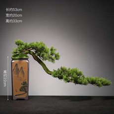 소나무분재