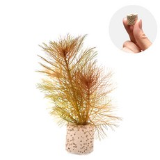 레드밀리오필름