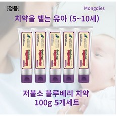 몽디에스블루베리치약