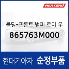 몰딩-프론트 범퍼 로어 우측 (865763M000) 제네시스 BH, 1개