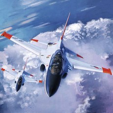 [아카데미과학] 1/48 대한민국 공군 T-50 고등훈련기 프라모델 12231, 상세 설명 참조