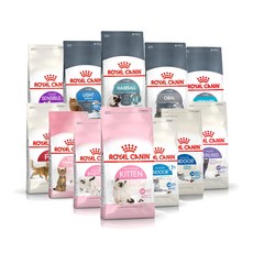 로얄캐닌키튼2kg