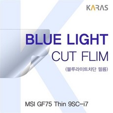 MSI GF75 Thin 9SC-i7 블루컷필름K, 상세페이지 참조