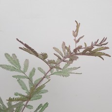 1d6da05320bc55aa019f5bb64568969ec9cf1575768517f97708510c82a2.jpg