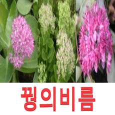 acbb7f93234863a0fb679406d6bc939912bb2dd35a4a0f91246c2f7fa086.png