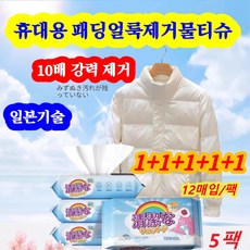 [1+1+1+1+1+1}휴대용 패딩 얼룩 제거 물티슈 기름얼룩 김치국물 커피얼룩 클렌징티슈, 5세트, 12매입