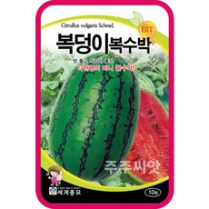 복수박 씨앗 10립 복덩이 수박 여름과일 종자 watermelon seed 과일채소, 1개