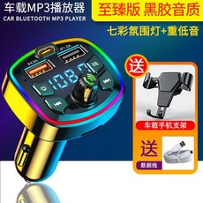 2010알페온블루투스