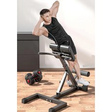 로만체어 백익스텐션 하이퍼 로망체어 헬스장 기구 기립근