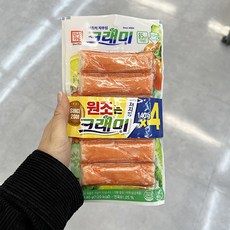 홈플러스랍스터