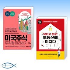 미국주식에미치다책