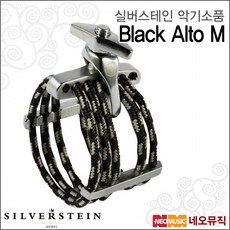 실버스테인리가춰