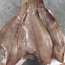제철생선 참가자미 반건조생선 가재미 가자미 반건조가자미, 구이용 1미*3팩