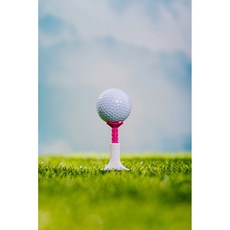 X10 4in1 골프티의 혁신 골프티 높이조절 그린보수 그루브클리너 볼마커