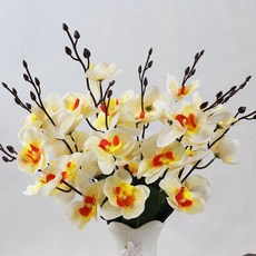 에스그루드라이왁스