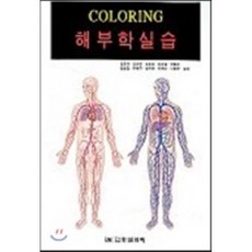 눈해부학실습3판