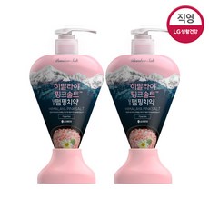 페리오 죽염 히말라야 핑크솔트 펌핑치약 플로럴민트, 285g, 2개