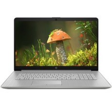 HP 2021 노트북 17s, 17S-cu0017TU, WIN11 Home, 4GB, 256GB, 코어i3, 네추럴 실버