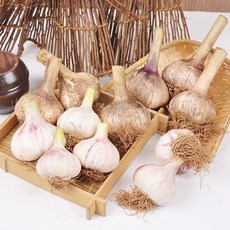 장아찌용깐마늘