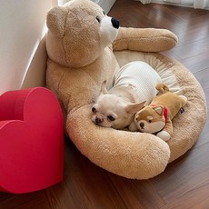 당감샵 강아지 고양이 방석 곰돌이허그쿠션, 베이지