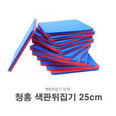 색판뒤집기25cm10개