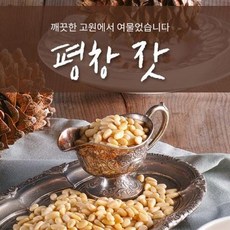 고랭지잣