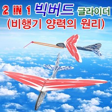[웰메이드] h70 2in1 빅버드 글라이더(비행기 양력의 원리) 내꺼, 단품