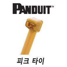 팬듀이트