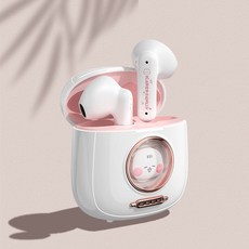 무선5.1채널